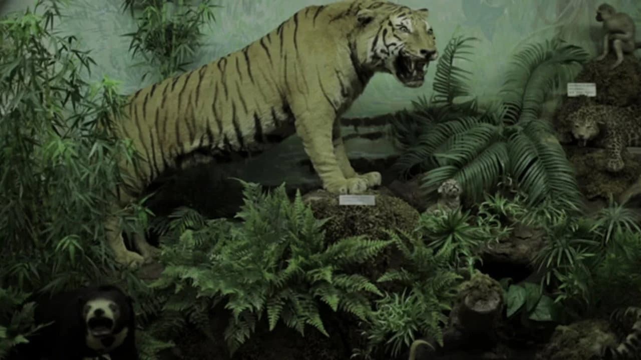 Ουασιγκτόνια