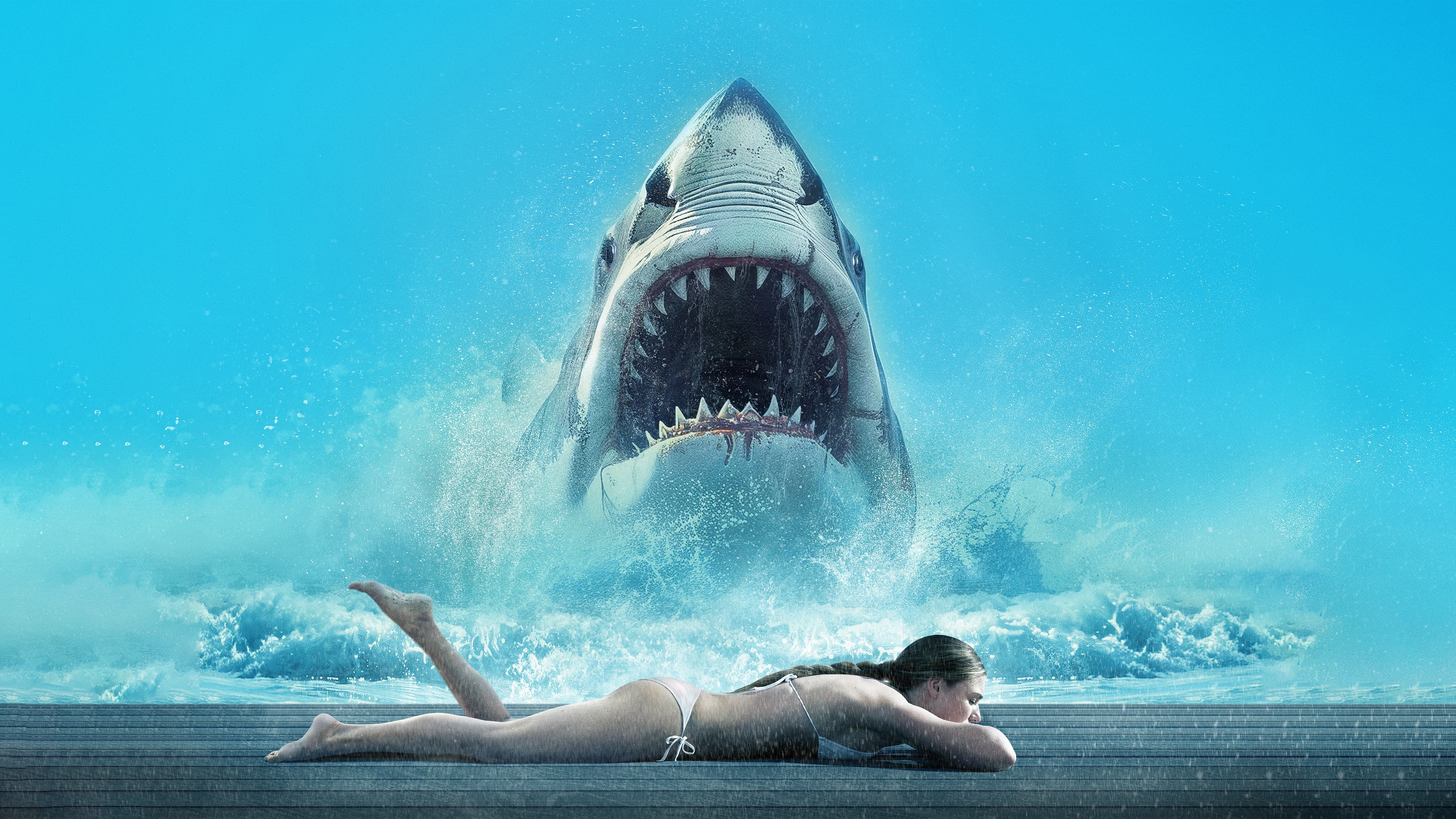 Shark Warning