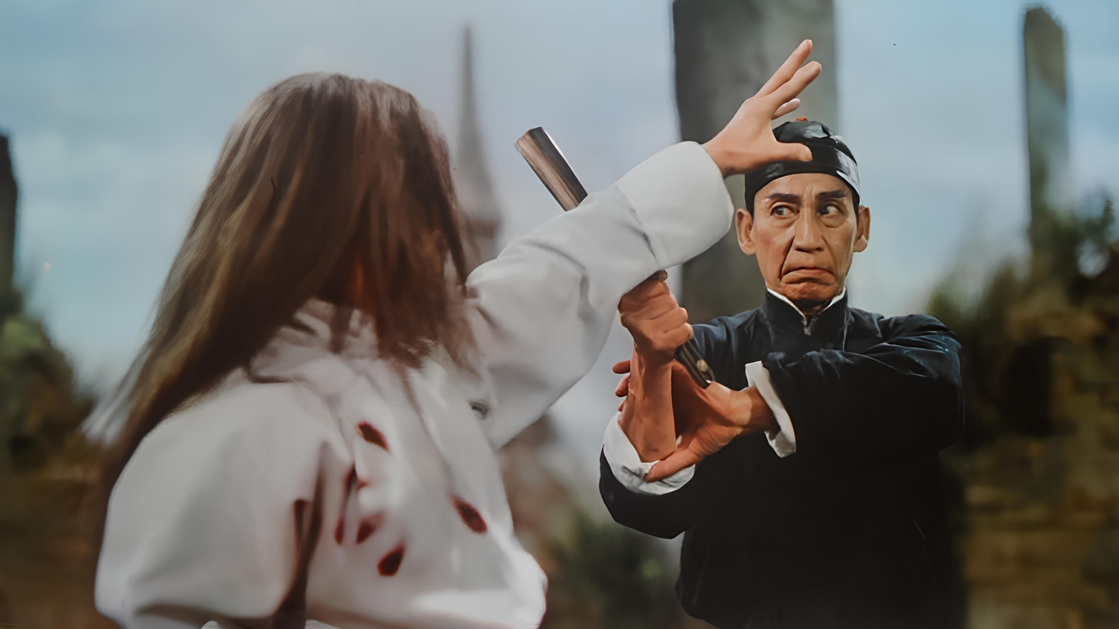 黃飛鴻少林拳