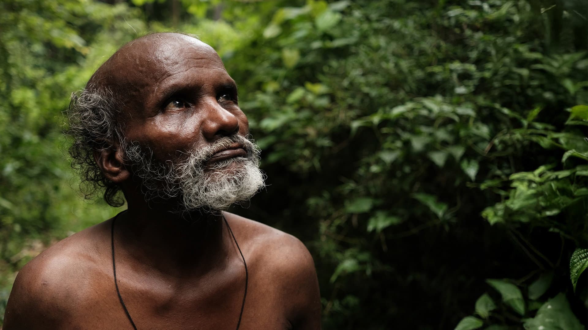 പാത്ത്