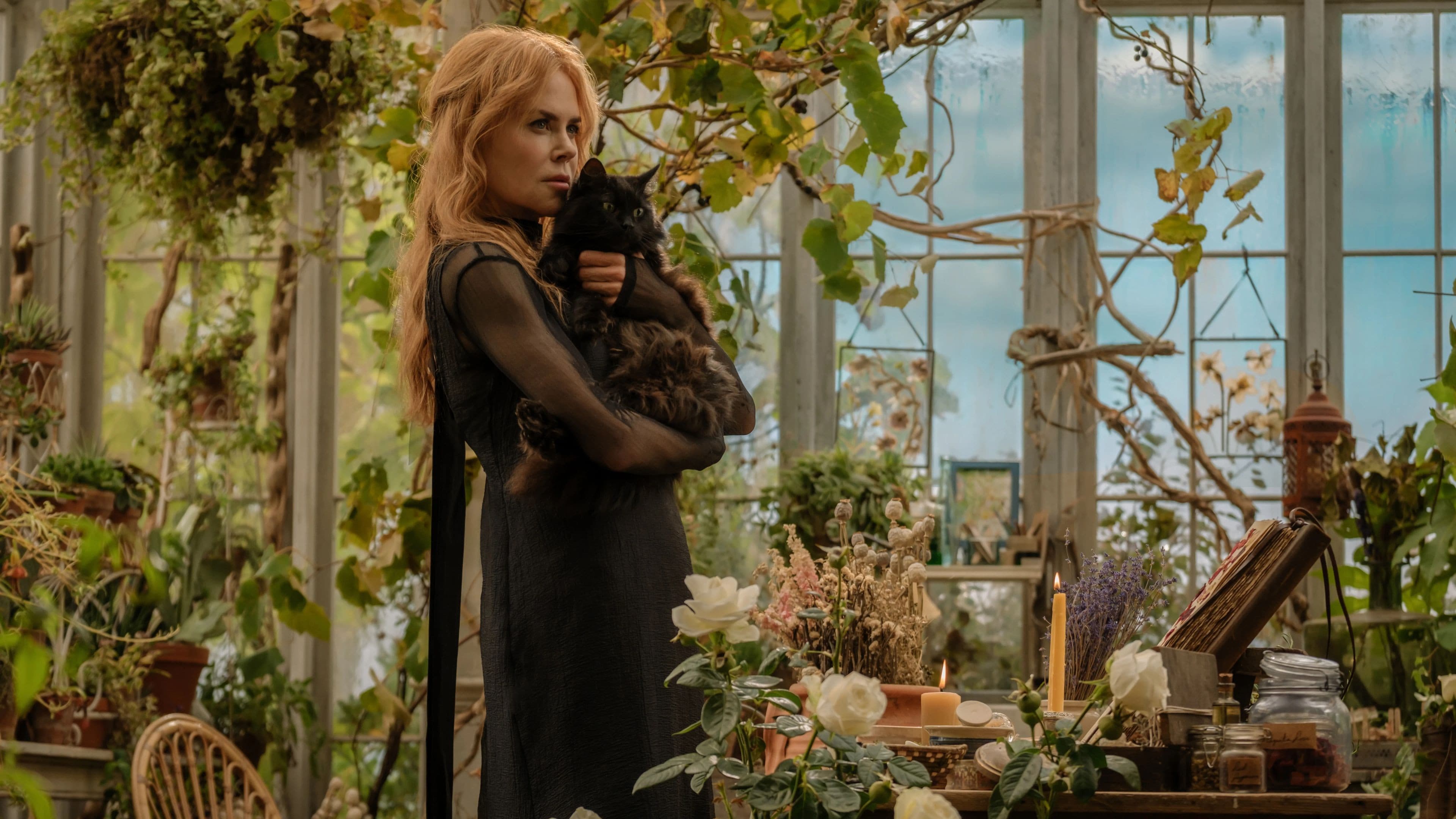 Practical Magic 2