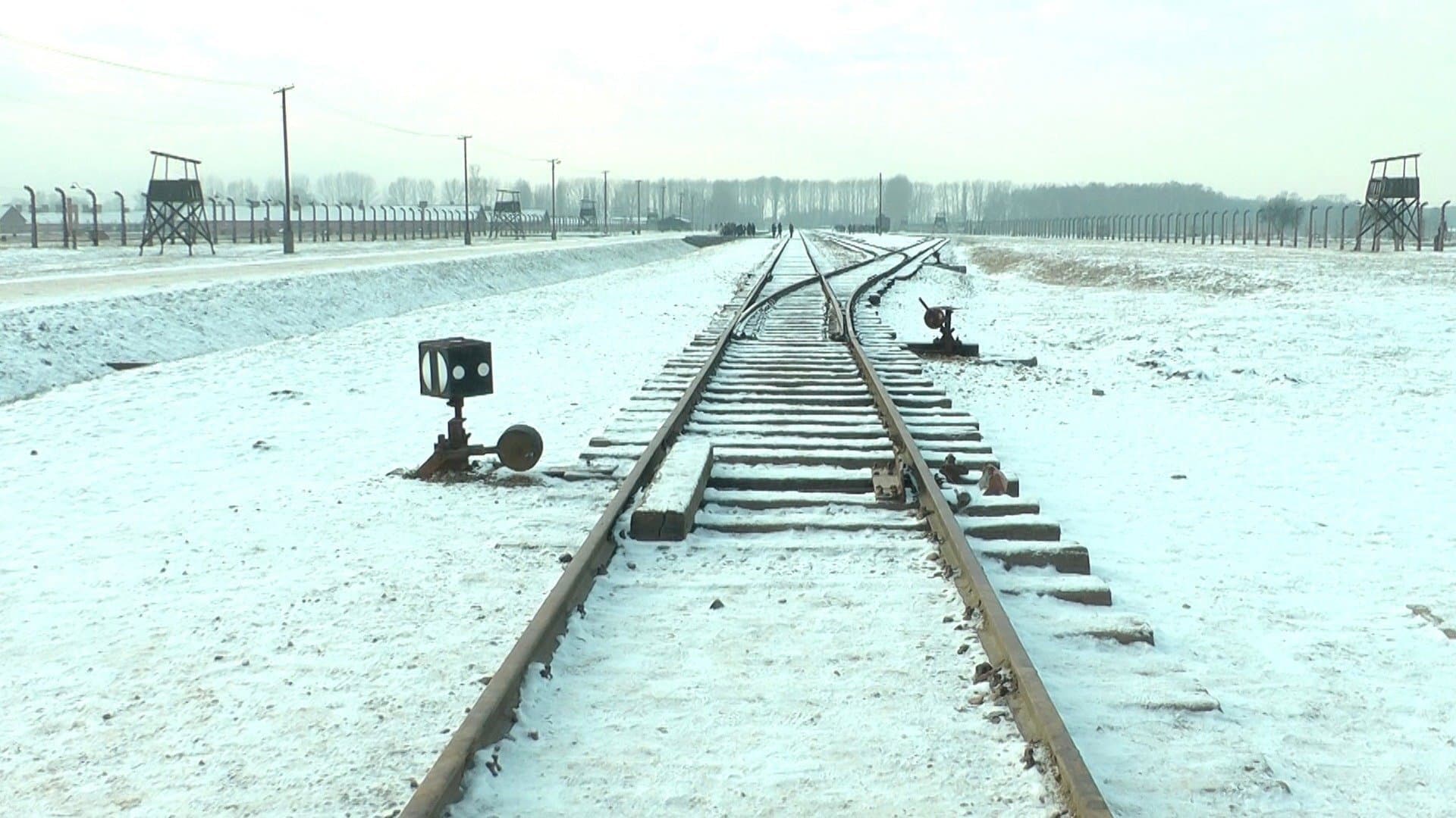 Mina 19 876 steg i Auschwitz / Birkenau
